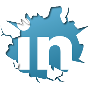 Birgit Berg -LinkedIn